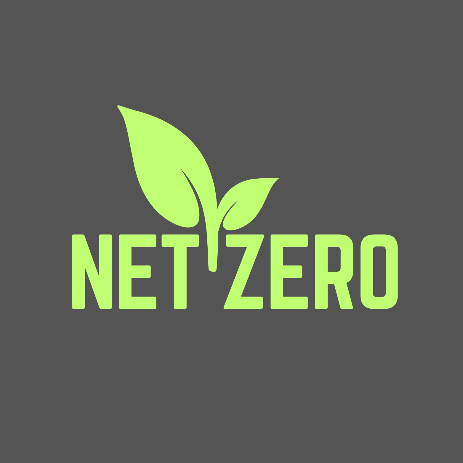 NetZero PMS Logo